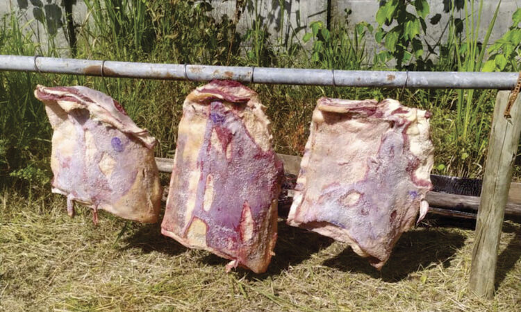 imagem não encontrada