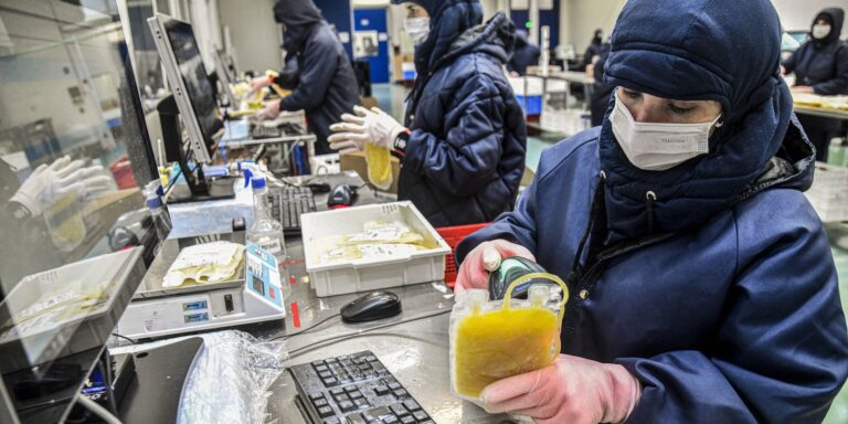 Projeto dispensa licitação para medicamentos produzidos pela Hemobrás projeto-dispensa-licitacao-para-medicamentos-produzidos-pela-hemobras
