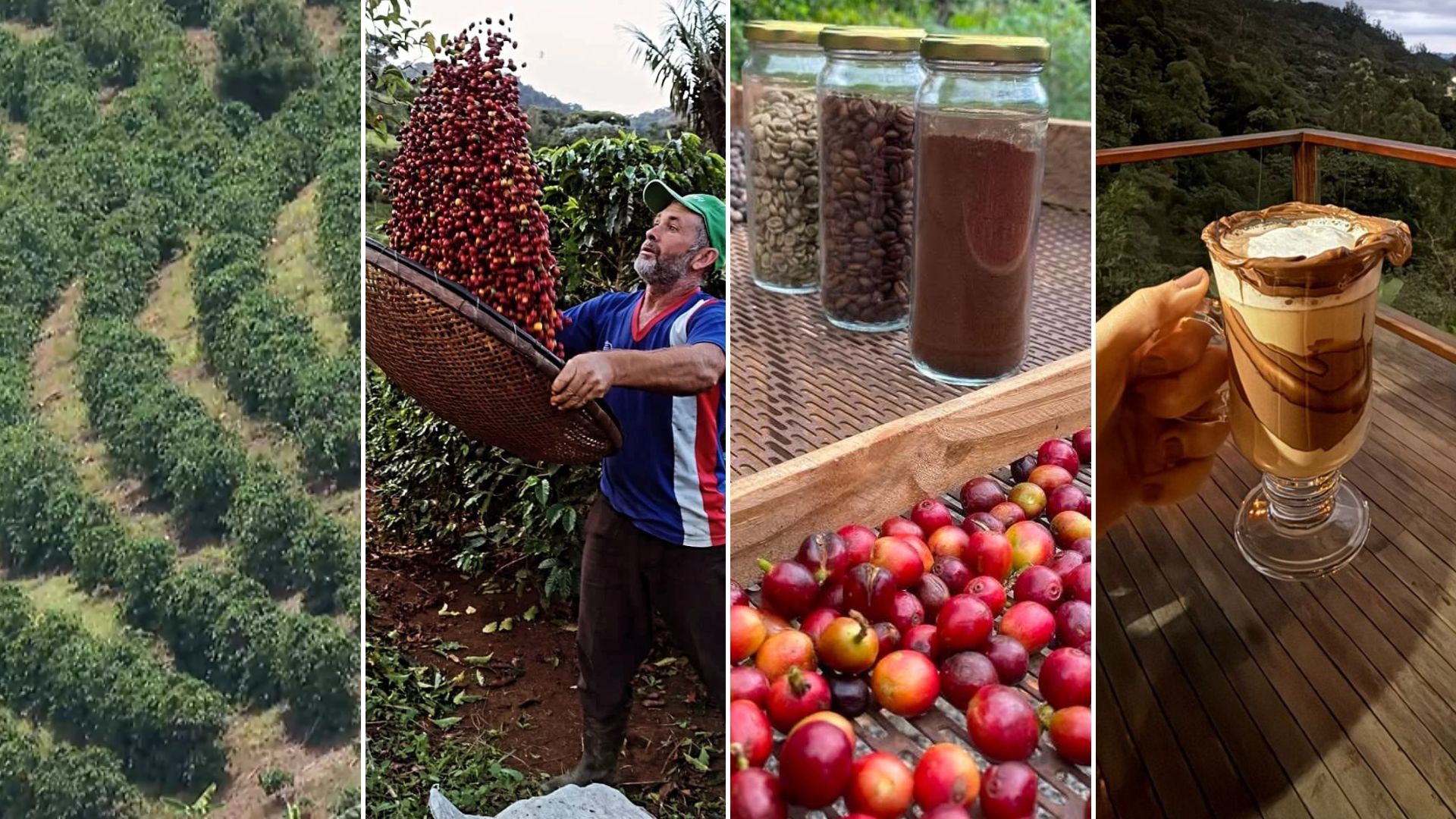 Do grão à experiência: como o Caparaó transforma café em produto turístico e amplia o potencial do Sul do ES do-grao-a-experiencia:-como-o-caparao-transforma-cafe-em-produto-turistico-e-amplia-o-potencial-do-sul-do-es