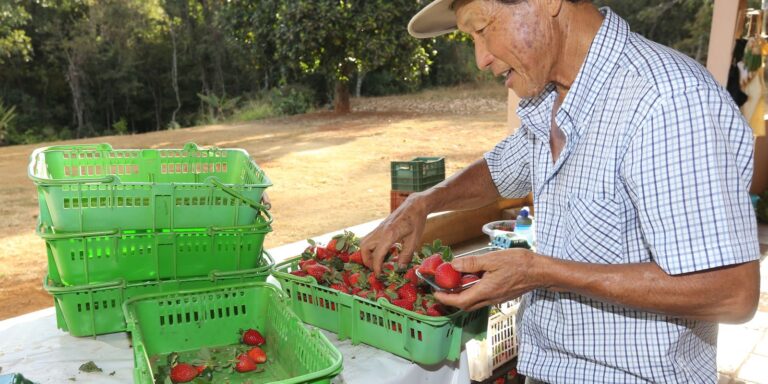 Finep vai pagar R$ 220 milhões para inovações em agricultura familiar finep-vai-pagar-r$-220-milhoes-para-inovacoes-em-agricultura-familiar