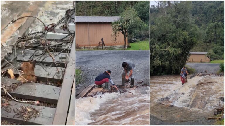 Cão preso em ponte de madeira no meio de enxurrada é resgatado com uso de motosserra em SC; VÍDEO cao-preso-em-ponte-de-madeira-no-meio-de-enxurrada-e-resgatado-com-uso-de-motosserra-em-sc;-video