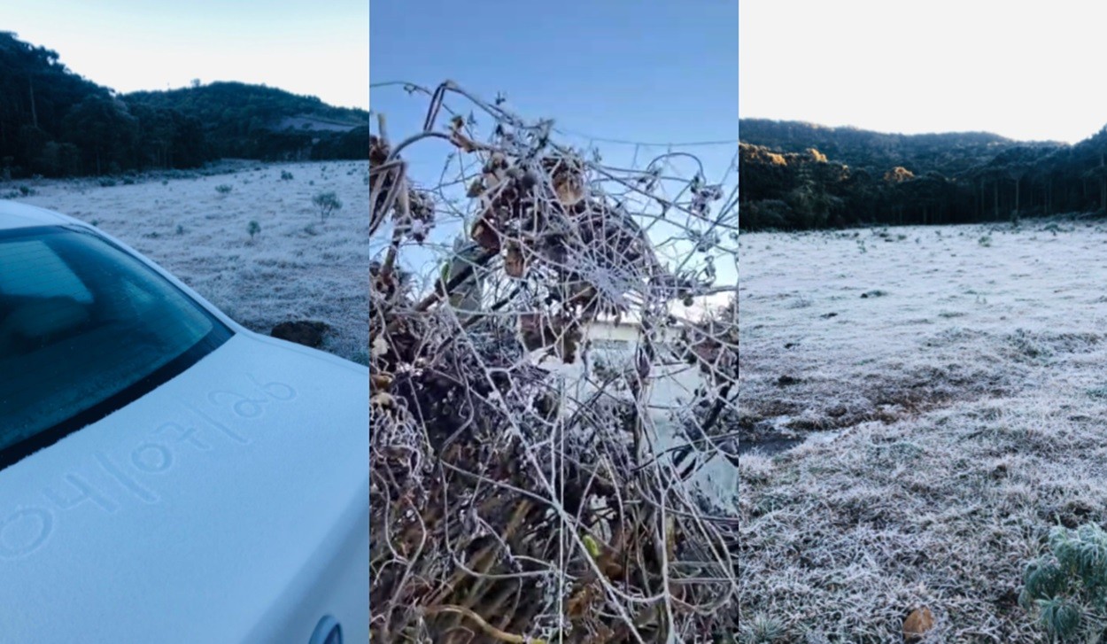 SC registra -5,7°C e 19 cidades abaixo de 0°C; VÍDEO mostra lagos e teia de aranha congelados sc-registra-5,7°c-e-19-cidades-abaixo-de-0°c;-video-mostra-lagos-e-teia-de-aranha-congelados