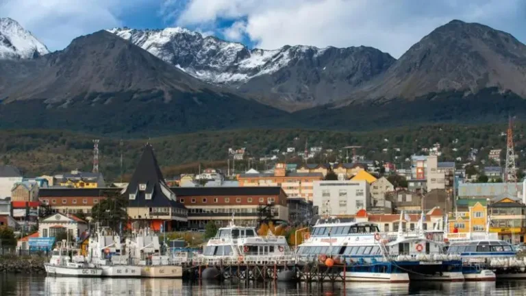 Cidade turística argentina no ‘fim do mundo’ nega ter dado início a surto de hantavírus cidade-turistica-argentina-no-‘fim-do-mundo’-nega-ter-dado-inicio-a-surto-de-hantavirus
