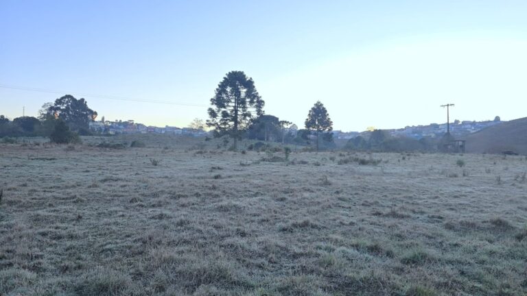 Em ‘alerta amarelo’, SC se prepara para geada ampla e volta das temperaturas negativas; veja previsão do tempo em-‘alerta-amarelo’,-sc-se-prepara-para-geada-ampla-e-volta-das-temperaturas-negativas;-veja-previsao-do-tempo