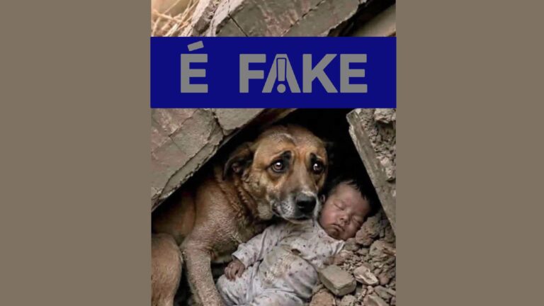 É #FAKE foto de cachorro protegendo bebê em terremoto na Venezuela; imagem foi criada com inteligência artificial e-#fake-foto-de-cachorro-protegendo-bebe-em-terremoto-na-venezuela;-imagem-foi-criada-com-inteligencia-artificial