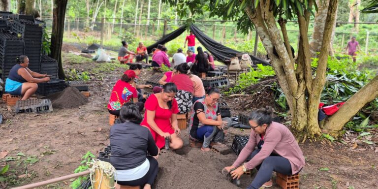 Mulheres da Amazônia se unem para enfrentar as mudanças climáticas mulheres-da-amazonia-se-unem-para-enfrentar-as-mudancas-climaticas