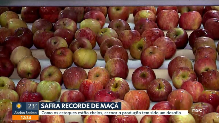 VÍDEOS: Jornal do Almoço – SC de sábado, 18 de julho de 2026 videos:-jornal-do-almoco-–-sc-de-sabado,-18-de-julho-de-2026