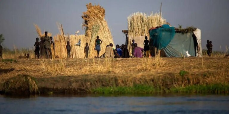 Fome mundial atinge 645 milhões de pessoas, diz relatório da ONU fome-mundial-atinge-645-milhoes-de-pessoas,-diz-relatorio-da-onu