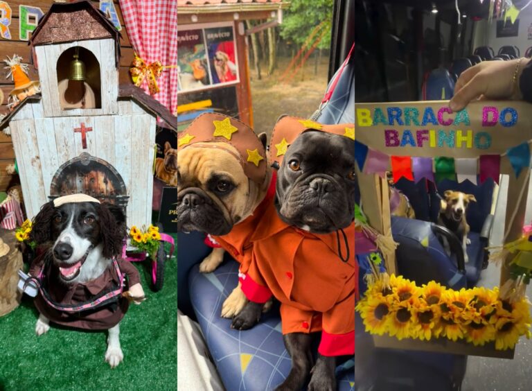 Barraca do ‘bafinho’ e Lampião e Maria Bonita: creche de pets faz arraiá com ‘cãocurso’ de fantasia barraca-do-‘bafinho’-e-lampiao-e-maria-bonita:-creche-de-pets-faz-arraia-com-‘caocurso’-de-fantasia