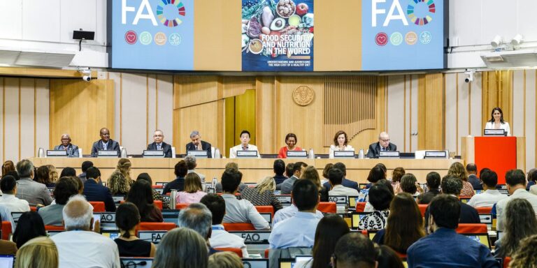 Brasil continua fora do Mapa da Fome, aponta relatório da ONU brasil-continua-fora-do-mapa-da-fome,-aponta-relatorio-da-onu