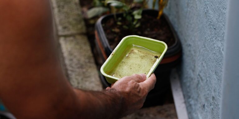 El Niño pode aumentar casos de chikungunya e dengue no Brasil el-nino-pode-aumentar-casos-de-chikungunya-e-dengue-no-brasil