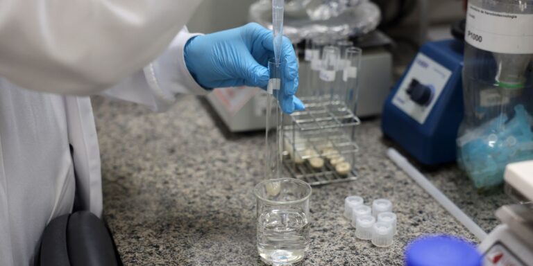 Brasil tem estratégia para ciência, tecnologia e inovação até 2034 brasil-tem-estrategia-para-ciencia,-tecnologia-e-inovacao-ate-2034