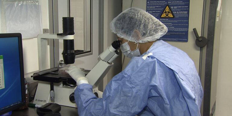 Saiba como cientistas “curaram” pacientes infectados com HIV saiba-como-cientistas-“curaram”-pacientes-infectados-com-hiv