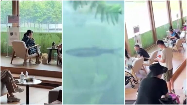 VÍDEO: Livraria ‘subaquática’ na China atrai turistas e moradores para ver fundo de lago video:-livraria-‘subaquatica’-na-china-atrai-turistas-e-moradores-para-ver-fundo-de-lago