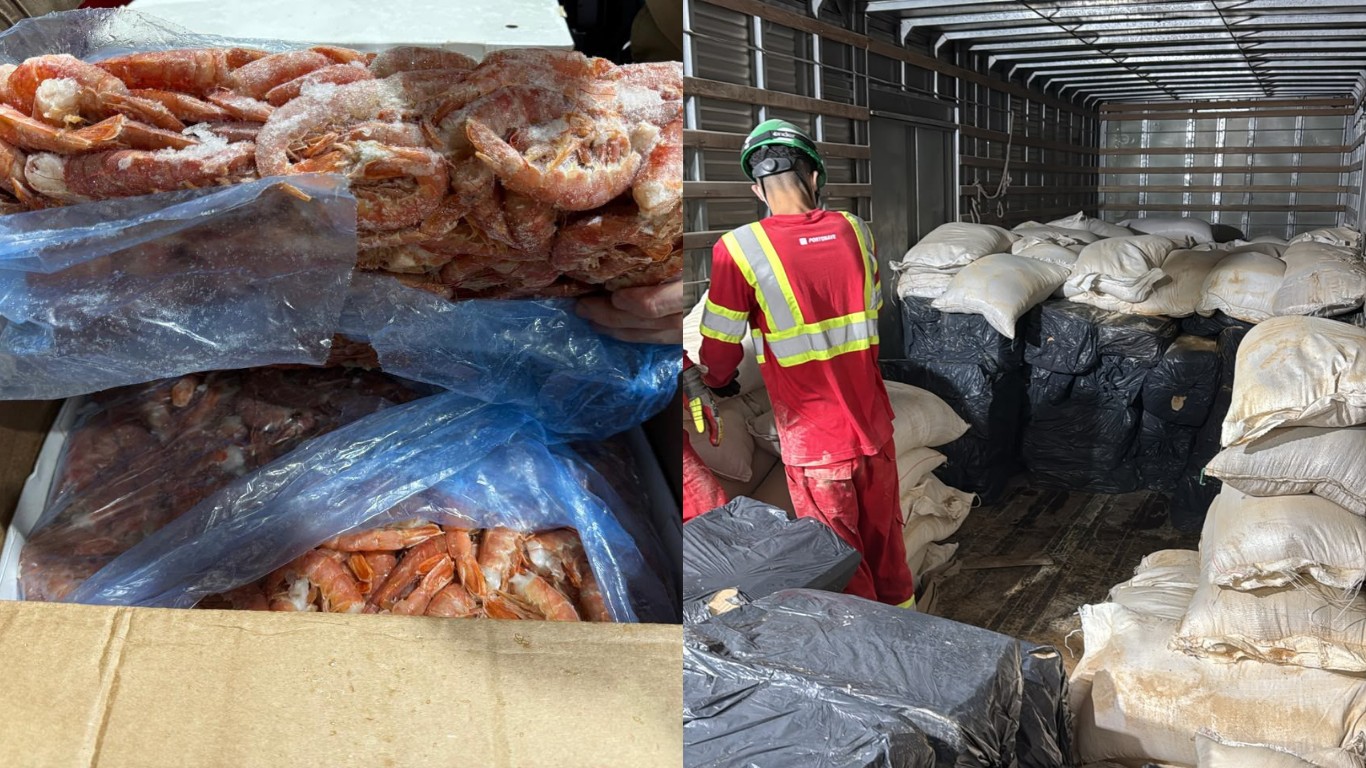 Motorista é preso com R$ 780 mil em camarão contrabandeado escondido em casca de arroz em SC motorista-e-preso-com-r$-780-mil-em-camarao-contrabandeado-escondido-em-casca-de-arroz-em-sc