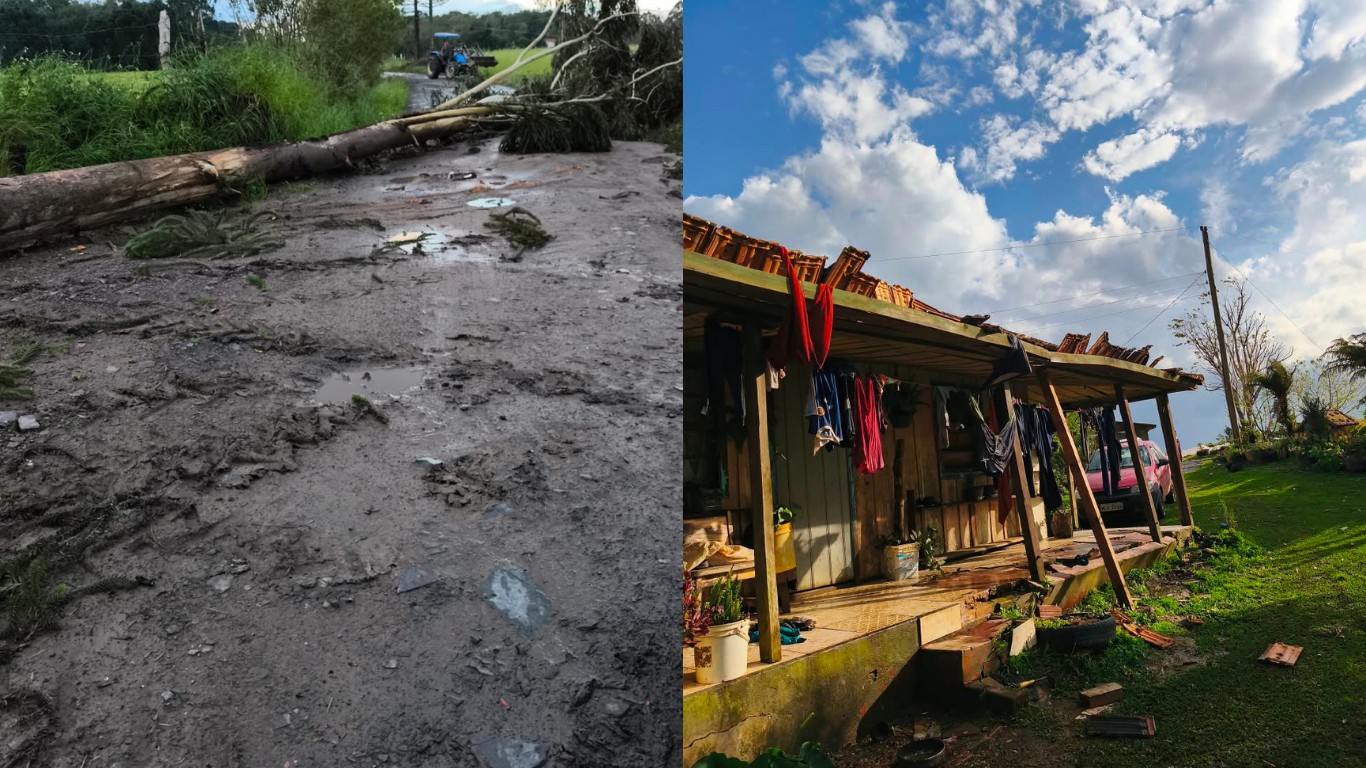 Defesa Civil investiga possível tornado após quedas de árvores e danos em imóveis no Norte de SC defesa-civil-investiga-possivel-tornado-apos-quedas-de-arvores-e-danos-em-imoveis-no-norte-de-sc