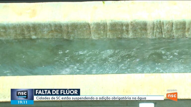 VÍDEOS: NSC Notícias de terça-feira, 11 de agosto de 2026 videos:-nsc-noticias-de-terca-feira,-11-de-agosto-de-2026