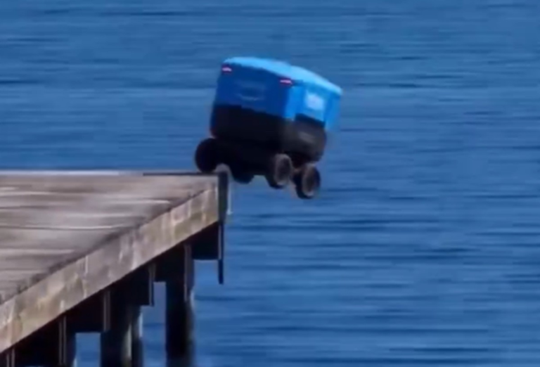 e-#fake-video-de-robo-de-entregas-da-amazon-se-jogando-no-mar