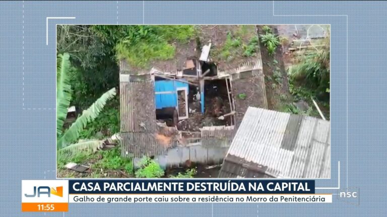 VÍDEOS: Jornal do Almoço Florianópolis de segunda-feira, 17 de agosto de 2026 videos:-jornal-do-almoco-florianopolis-de-segunda-feira,-17-de-agosto-de-2026