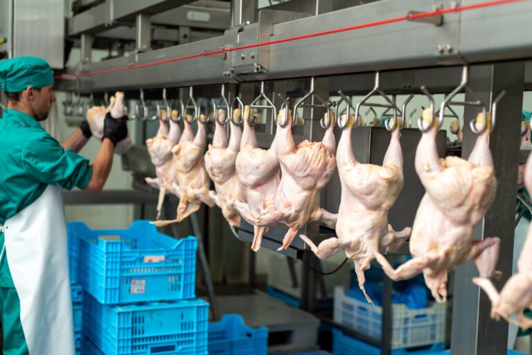 Como a tecnologia fortalece a proteína animal brasileira no mercado mundial como-a-tecnologia-fortalece-a-proteina-animal-brasileira-no-mercado-mundial