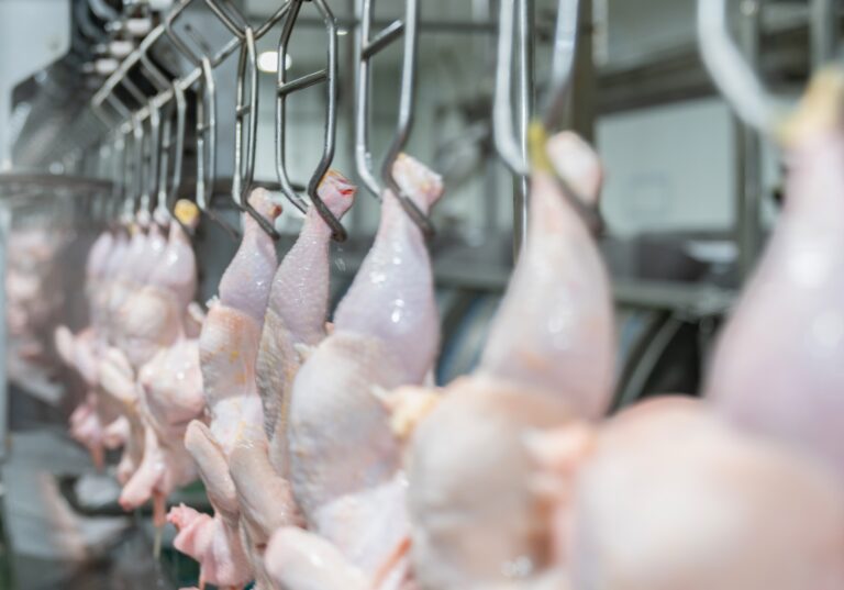 Por que reduzir desperdícios é o maior desafio da indústria frigorífica por-que-reduzir-desperdicios-e-o-maior-desafio-da-industria-frigorifica