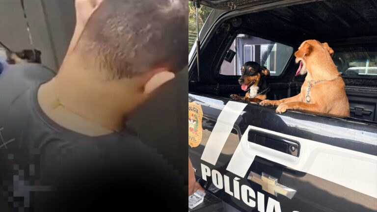homem-que-segurou-cadela-no-ar-pela-coleira-em-sc-e-indiciado-por-maus-tratos;-video