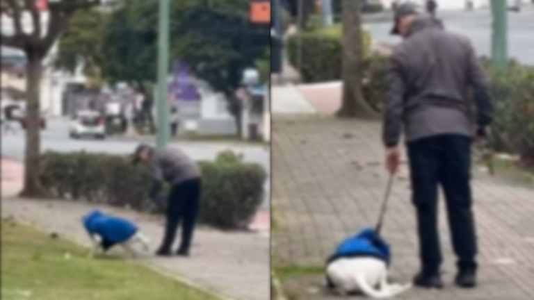 VÍDEO flagra homem agredindo cão durante passeio e tutor é preso em Balneário Camboriú video-flagra-homem-agredindo-cao-durante-passeio-e-tutor-e-preso-em-balneario-camboriu