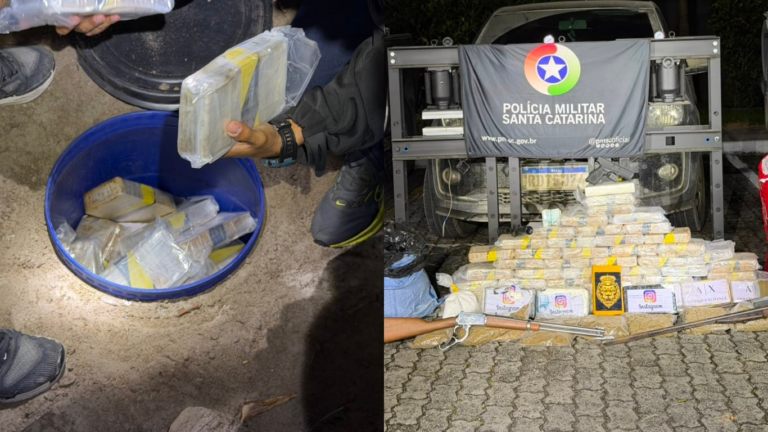 Galinheiro usado para esconder mais de 100 kg de cocaína e maconha debaixo da terra é descoberto em SC galinheiro-usado-para-esconder-mais-de-100-kg-de-cocaina-e-maconha-debaixo-da-terra-e-descoberto-em-sc