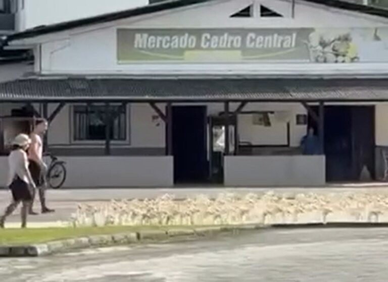 ‘Exército’ de 500 marrecos ‘marcha’ em rua de SC ao lado de tutores e vídeo viraliza ‘exercito’-de-500-marrecos-‘marcha’-em-rua-de-sc-ao-lado-de-tutores-e-video-viraliza
