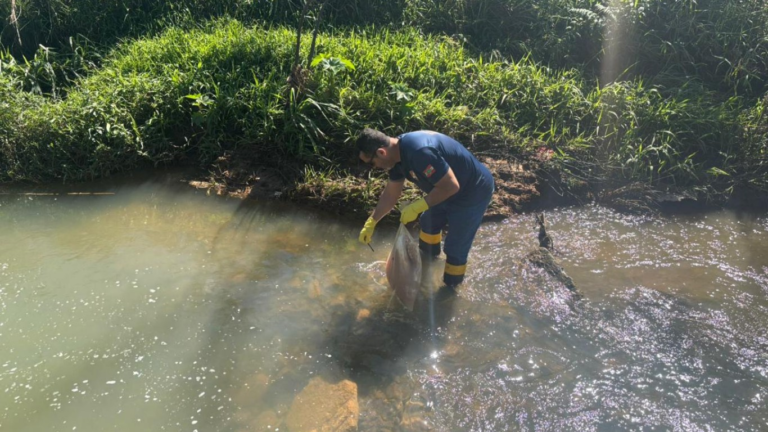 ‘fato-mais-triste-que-ja-vi’:-denuncia-revela-descarte-de-mais-de-18-quilos-de-carne-em-rio-de-sc
