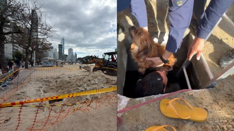 VÍDEO: cachorro cai na galeria de macrodrenagem da praia alargada de Balneário Camboriú e resgate mobiliza bombeiros video:-cachorro-cai-na-galeria-de-macrodrenagem-da-praia-alargada-de-balneario-camboriu-e-resgate-mobiliza-bombeiros