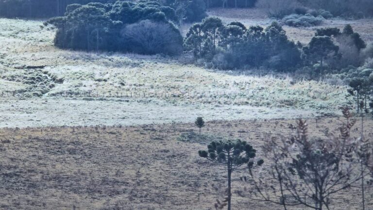 feriado-comeca-com-frio,-geada-e-temperaturas-negativas-na-serra-de-sc;-video