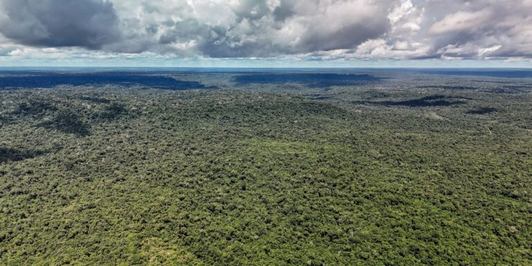 Devastação na Amazônia pode quebrar maior “máquina de chuva” do mundo devastacao-na-amazonia-pode-quebrar-maior-“maquina-de-chuva”-do-mundo