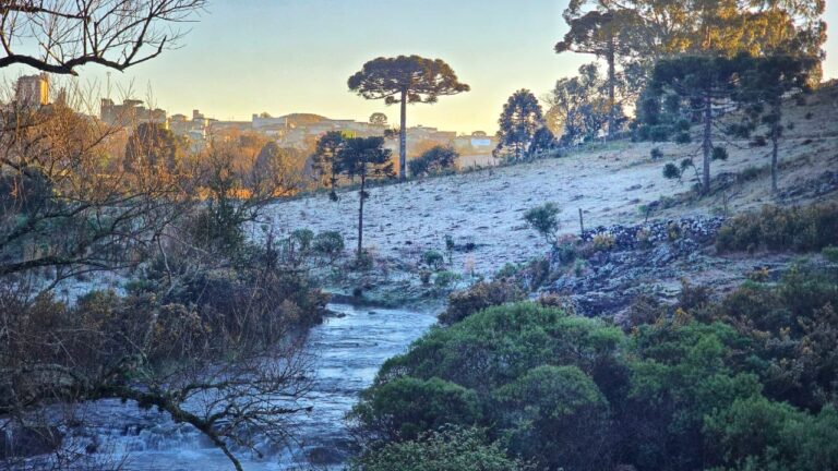 Com mínima de -4,5°C, SC volta a registrar campos cobertos por geada dias antes do fim do inverno com-minima-de-4,5°c,-sc-volta-a-registrar-campos-cobertos-por-geada-dias-antes-do-fim-do-inverno