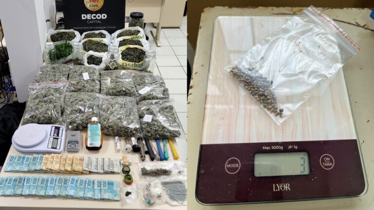 Homem autorizado a cultivar cannabis para uso medicinal é preso com estoque de ‘supermaconha’ em SC homem-autorizado-a-cultivar-cannabis-para-uso-medicinal-e-preso-com-estoque-de-‘supermaconha’-em-sc