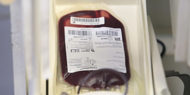 Fundação Pró-Sangue alerta para baixo estoque e faz apelo a doadores fundacao-pro-sangue-alerta-para-baixo-estoque-e-faz-apelo-a-doadores