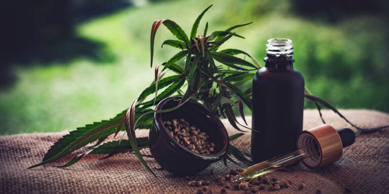 Para associações, normas ainda deixam pontos em aberto sobre cannabis para-associacoes,-normas-ainda-deixam-pontos-em-aberto-sobre-cannabis
