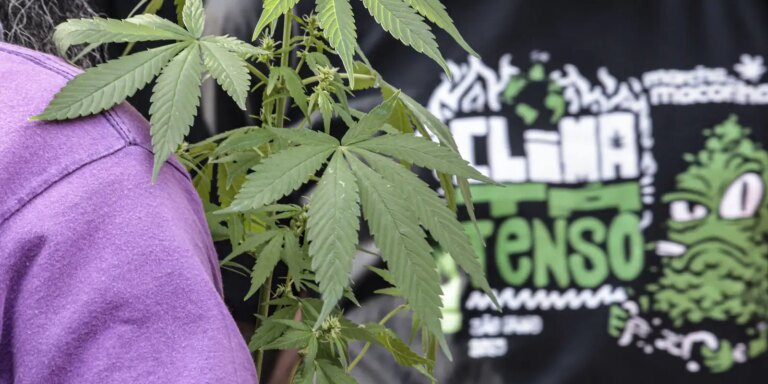 Flagrante por drogas gera mais prisão preventiva do que outros crimes flagrante-por-drogas-gera-mais-prisao-preventiva-do-que-outros-crimes
