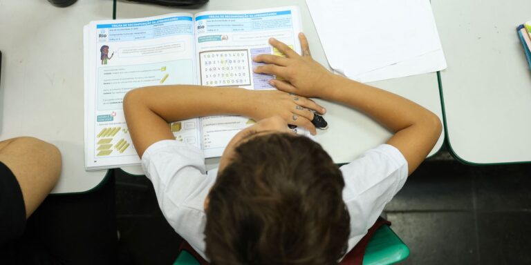 Censo Escolar: resultado preliminar está disponível no site do Inep censo-escolar:-resultado-preliminar-esta-disponivel-no-site-do-inep