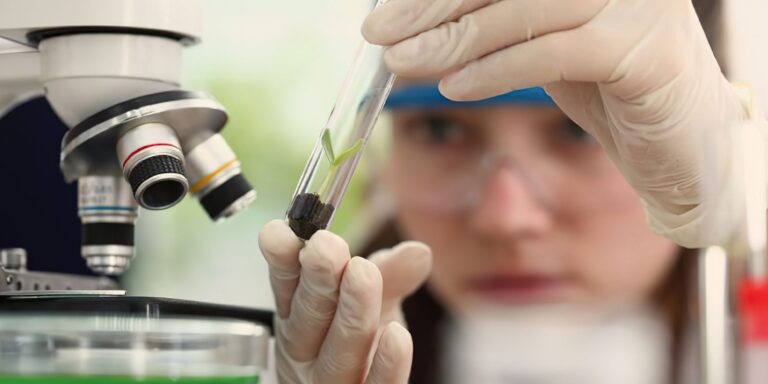 Imersão científica leva alunas e professoras a centros tecnológicos imersao-cientifica-leva-alunas-e-professoras-a-centros-tecnologicos