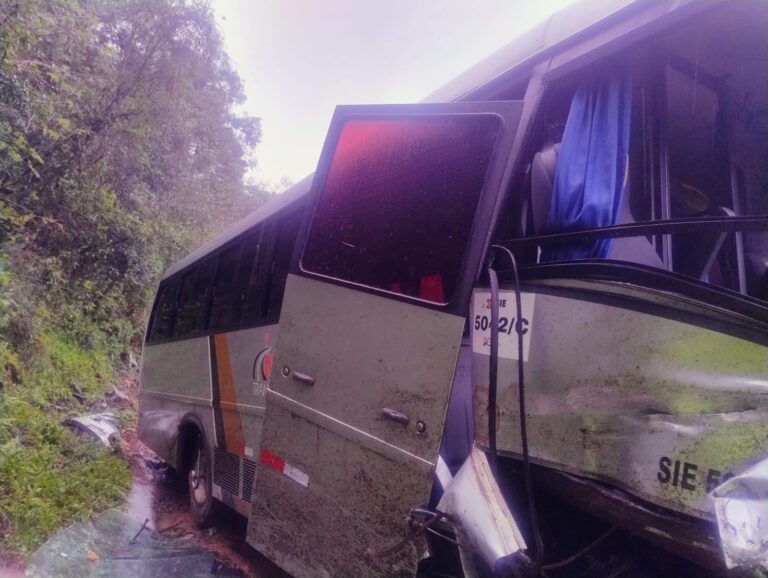 Ônibus com 22 crianças bate contra barranco após caminhão invadir pista na SC-390 onibus-com-22-criancas-bate-contra-barranco-apos-caminhao-invadir-pista-na-sc-390