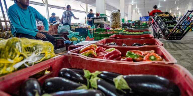 Campanha busca engajamento para reduzir desperdício de alimento campanha-busca-engajamento-para-reduzir-desperdicio-de-alimento
