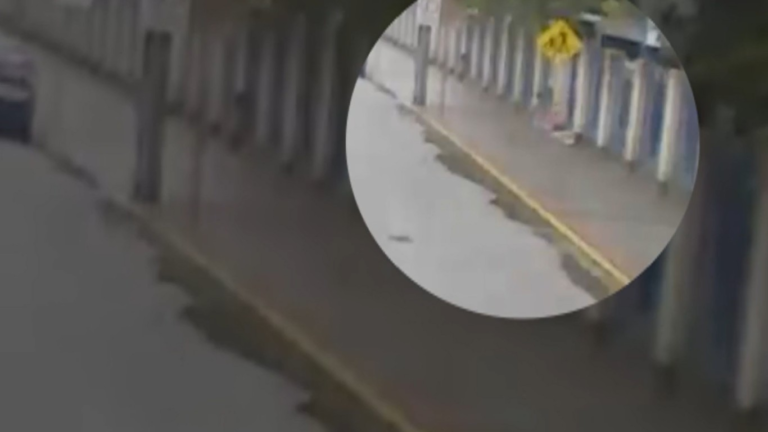 VÍDEO: Câmera flagra criança de 3 anos saindo de creche e caminhando por avenida em Florianópolis video:-camera-flagra-crianca-de-3-anos-saindo-de-creche-e-caminhando-por-avenida-em-florianopolis