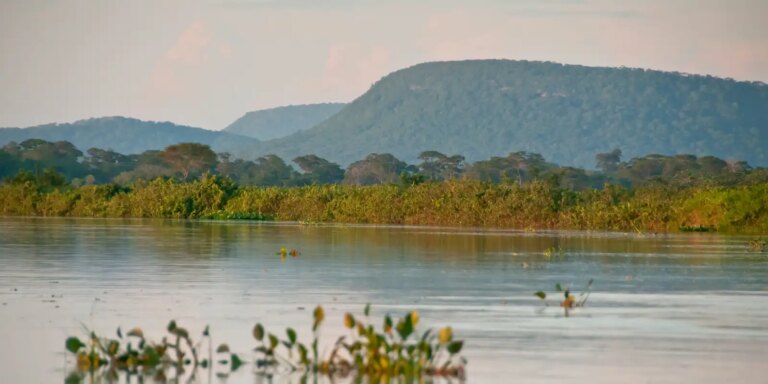 cerrado-brasileiro-perdeu-13,9-milhoes-de-hectares-de-margens-de-rios