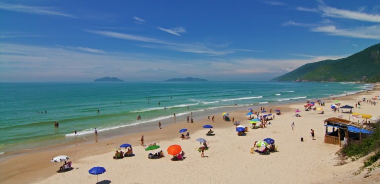 Mar de surfe a refúgio familiar: veja as praias de SC que estrearam em prêmio internacional de qualidade ambiental mar-de-surfe-a-refugio-familiar:-veja-as-praias-de-sc-que-estrearam-em-premio-internacional-de-qualidade-ambiental