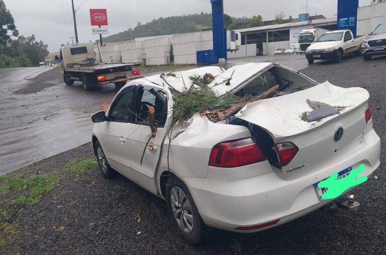 Carro em movimento é atingido por árvore durante vendaval na SC-355; VÍDEO mostra veículo destruído carro-em-movimento-e-atingido-por-arvore-durante-vendaval-na-sc-355;-video-mostra-veiculo-destruido