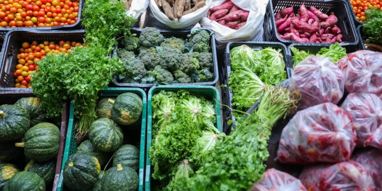 Segurança alimentar exige esforço coletivo e articulação seguranca-alimentar-exige-esforco-coletivo-e-articulacao
