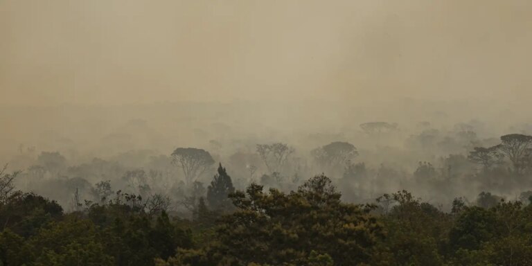 forca-nacional-do-sus-apoia-atendimentos-no-amazonas-apos-incendios