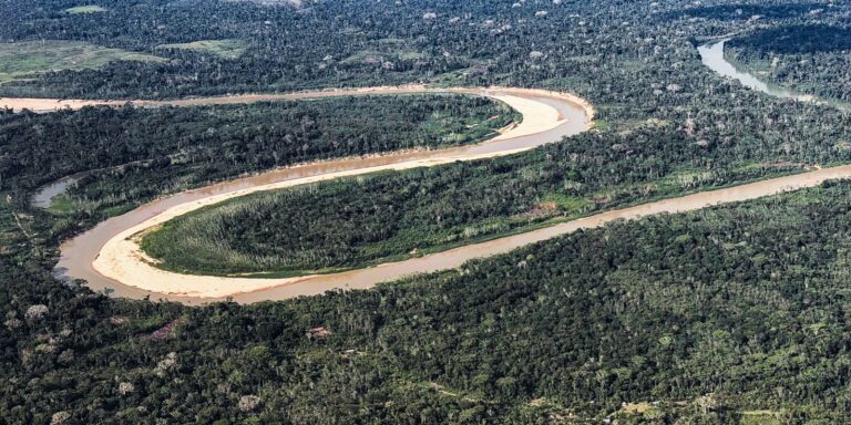 Holanda anuncia US$ 500 milhões em fundo florestal criado pelo Brasil holanda-anuncia-us$-500-milhoes-em-fundo-florestal-criado-pelo-brasil