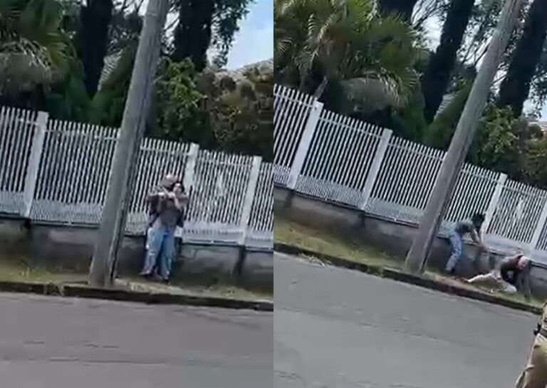 video:-homem-agride-e-aponta-simulacro-de-arma-na-cabeca-de-mulher-e-e-baleado-pela-pm-em-sc